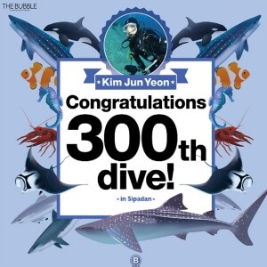 100로그 기념 현수막(로그수 선택가능) 드림고래상어_Dream-Whale Shark