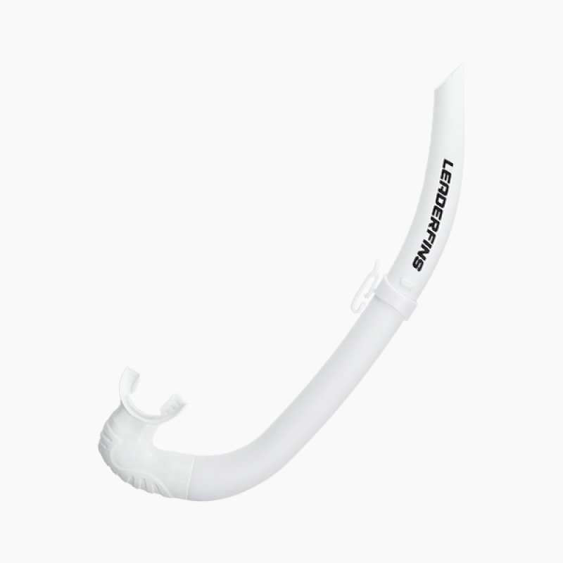 리더핀 아우라 스노클