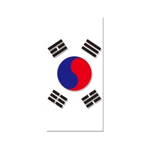 대형타월 태극기 비치타올