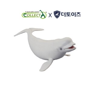 흰고래(벨루가)
