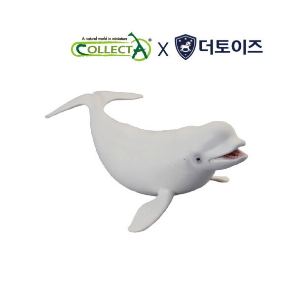 퐁당닷컴,흰고래(벨루가),,컬렉타,스쿠버 acc > 피규어 > 해양동물 피규어