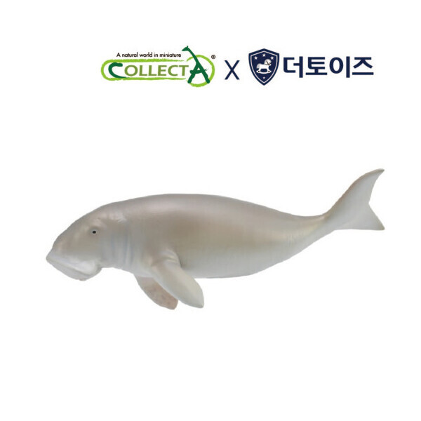 퐁당닷컴,컬렉타 듀공,,컬렉타,스쿠버 acc > 피규어 > 해양동물 피규어