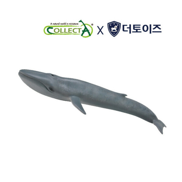퐁당닷컴,컬렉타 흰긴수염고래(흰수염고래,대왕고래),,컬렉타,스쿠버 acc > 피규어 > 해양동물 피규어