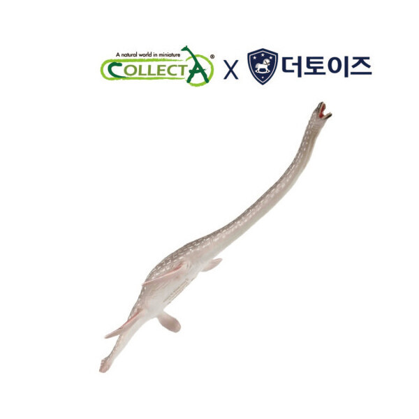 퐁당닷컴,컬렉타 엘라스모사우루스 공룡모형 피규어 장난감,,컬렉타,스쿠버 acc > 피규어 > 해양동물 피규어