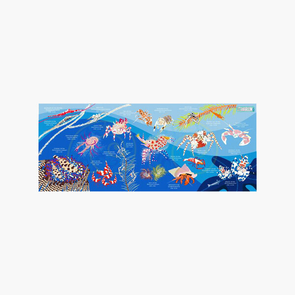 퐁당닷컴,오셔나리움 새우와 게_스포츠 타월 120cm x 50cm,,오셔나리움,수영, 물놀이 > 어패럴 > 판쵸, 타월